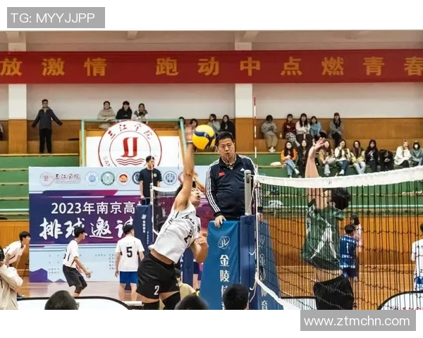 南京排球队的转型之路：从传统强队到现代竞技新标杆的奥运追梦之旅